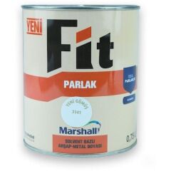 Marshall Fit Parlak Ahşap Metal Boyası Y.gümüş 0,75 L