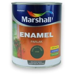 Marshall Enamel Parlak Ahşap Metal Boyası Nefti Yeşil 2,5 L