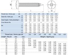 5.5x32 mm YSB Saç Vidası DIN 7981