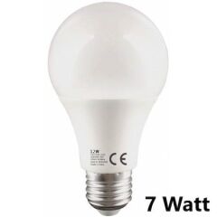 Bay-Tec Led Ampul 7 Watt 710 Lumen